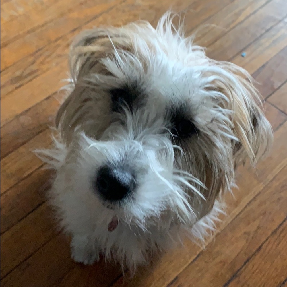 Meet your Posher, Jenny